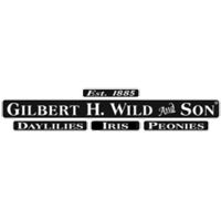 Gilbert H. Wild & Son